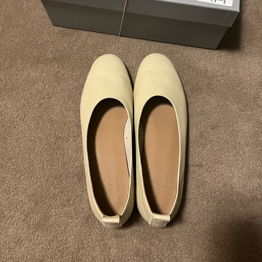 Everlane Day Glove Narrow Fit W8